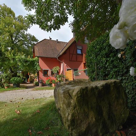 Countryside Apartment With Garden Schallstadt Zewnętrze zdjęcie