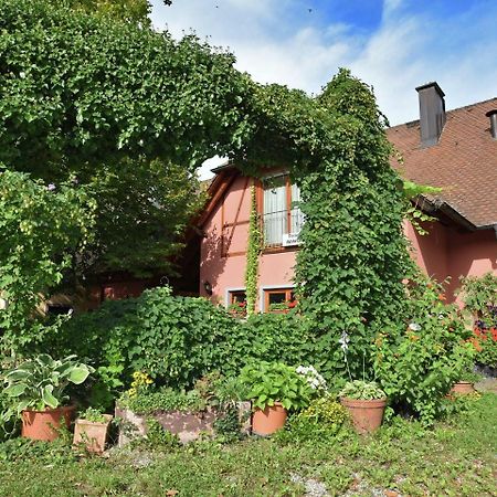 Countryside Apartment With Garden Schallstadt Zewnętrze zdjęcie