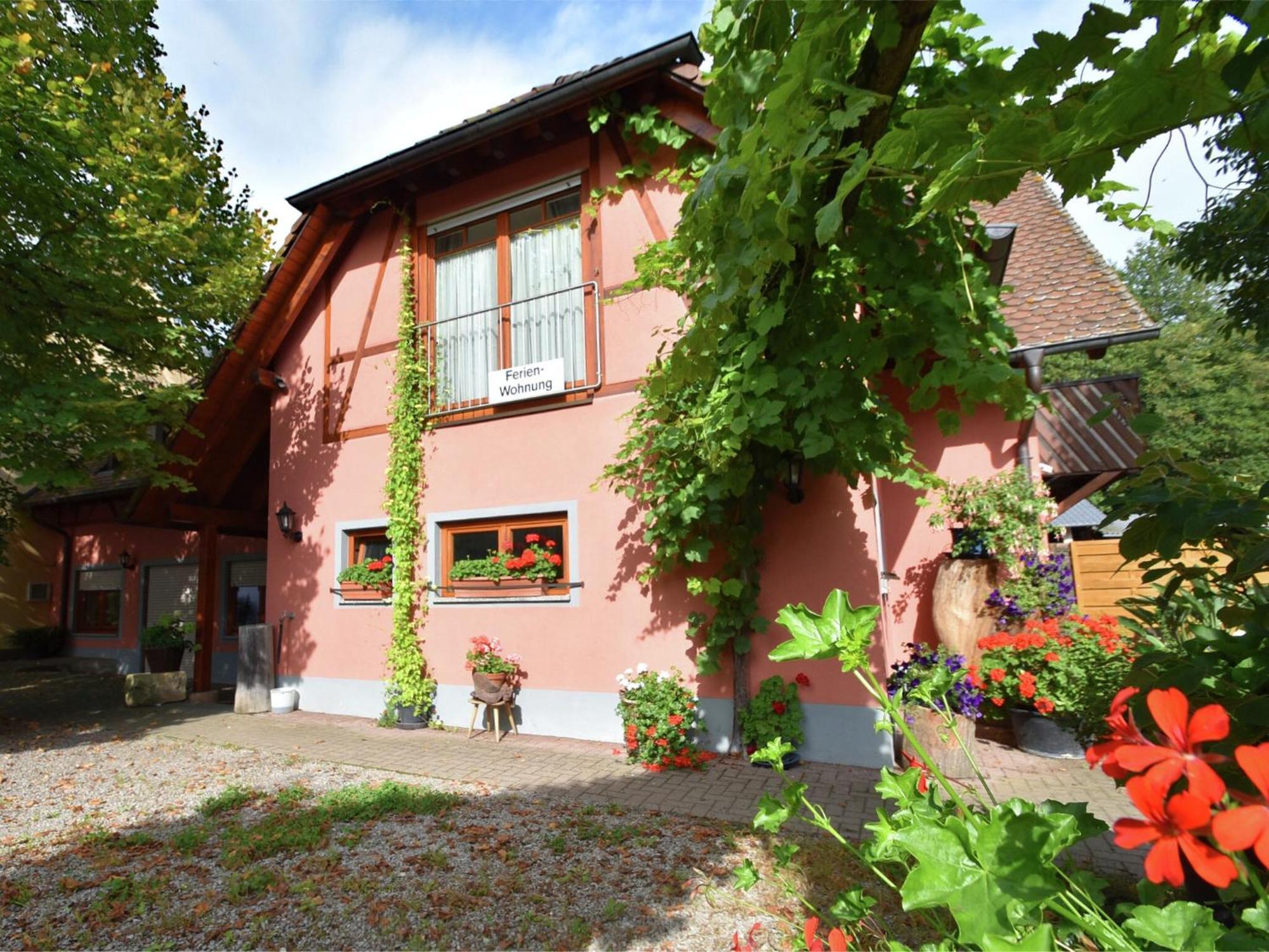 Countryside Apartment With Garden Schallstadt Zewnętrze zdjęcie