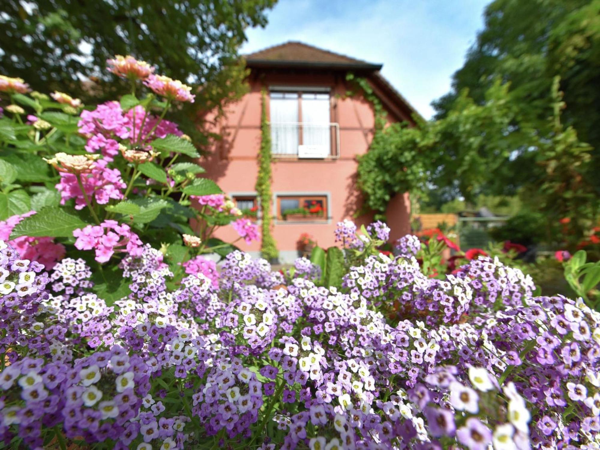 Countryside Apartment With Garden Schallstadt Zewnętrze zdjęcie