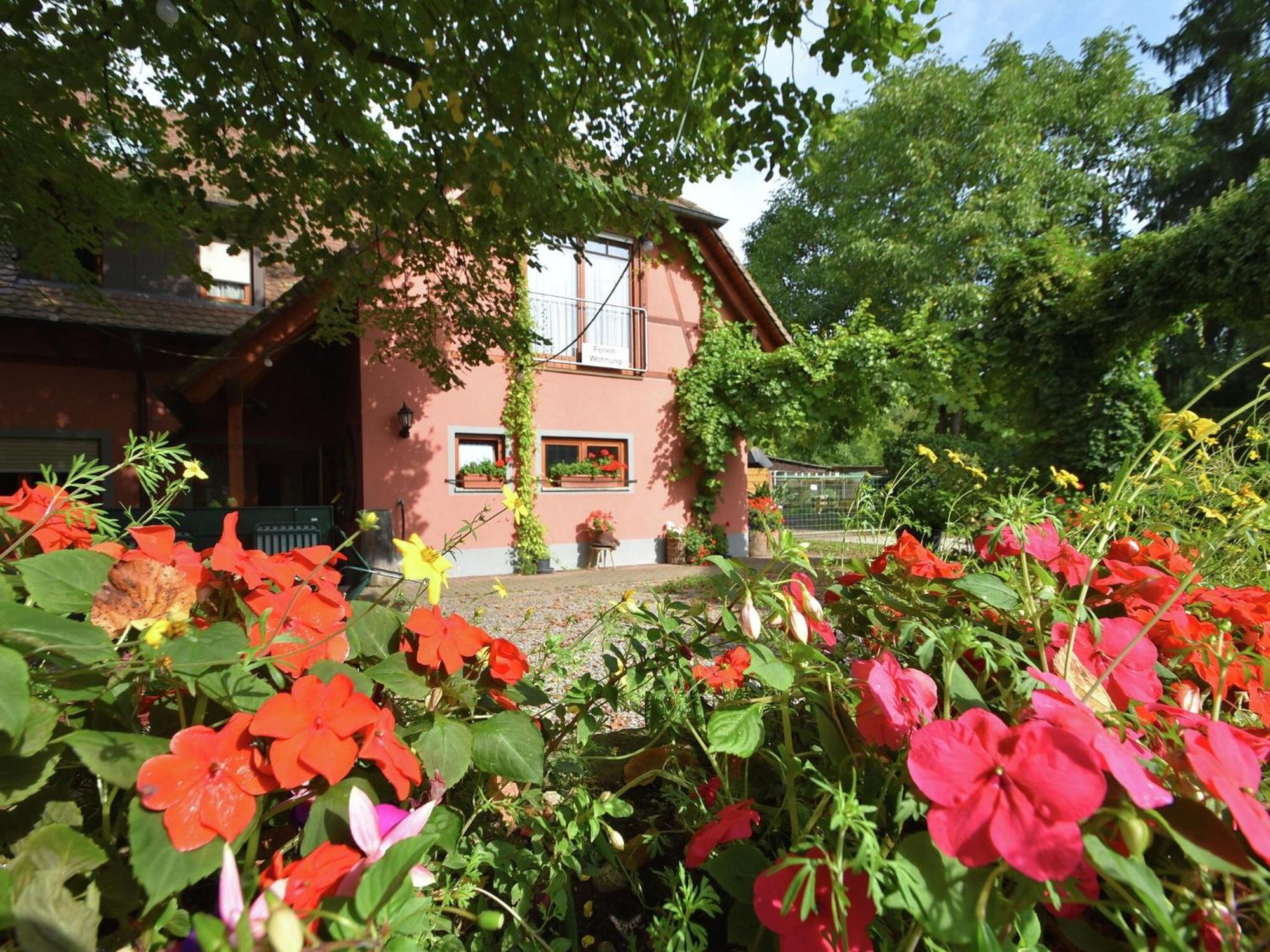 Countryside Apartment With Garden Schallstadt Zewnętrze zdjęcie