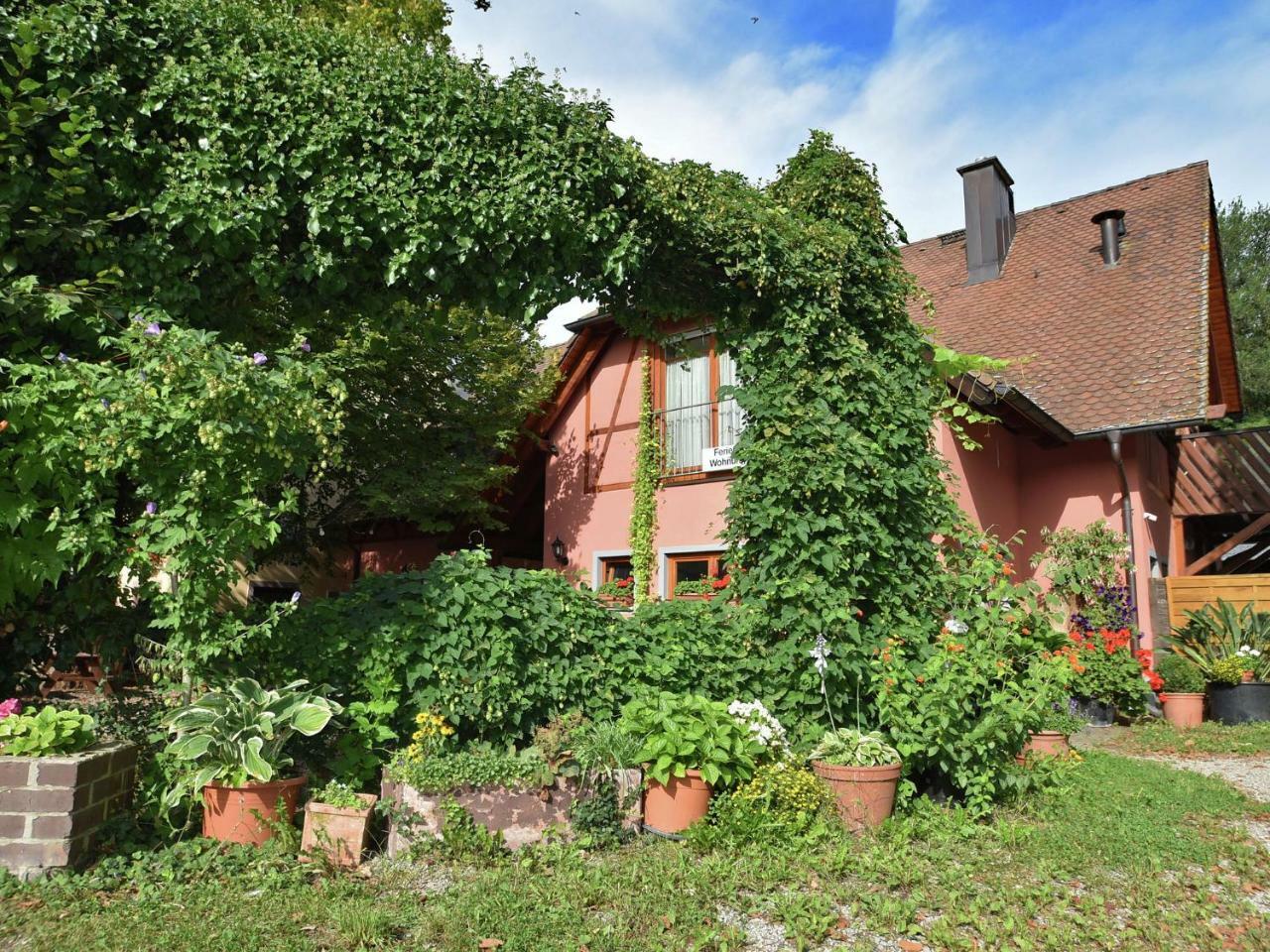 Countryside Apartment With Garden Schallstadt Zewnętrze zdjęcie